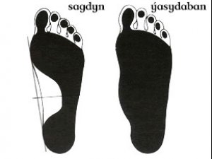 ÝASYDABANLYK: SEBÄPLERI, GÖRNÜŞLERI WE BEJERGISI