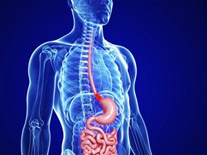 GYZYLÖDEGIŇ EROZIÝASY: SEBÄPLERI, ALAMATLARY, ANYKLANYLŞY WE BEJERIŞ USULLARY