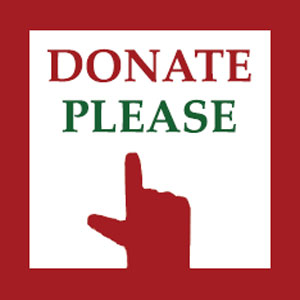 donate button