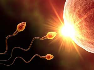 gowrelilik nadip doreyar