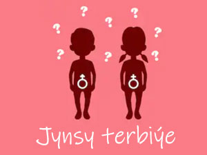 jynsy terbiye
