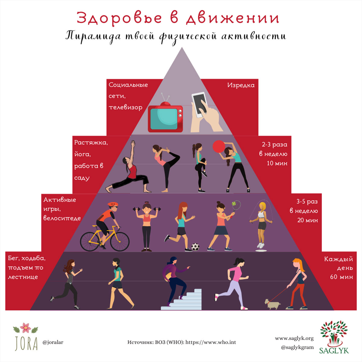 Infografika Fiziki aktiwligi TKM