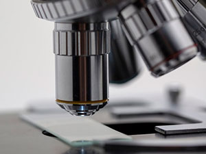 covid 19 kime howp salyar