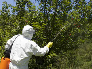 organiki ya himikatly