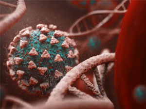 covid 19 incekesel aiw