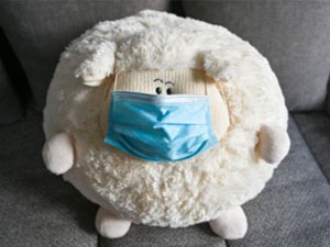 covid 19 we semizlik