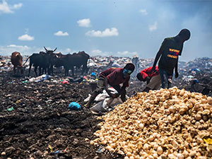 yitirilen bilimin pajygaly netijeleri