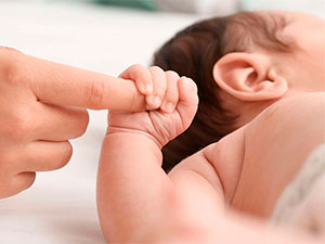 pandemiya babek osusi