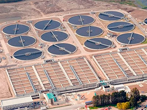 britaniyada poliomiyelit wirusy