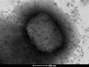 maymyn mama hadysalar