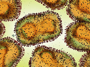 maymyn mamasy taze yurtlara aralasyarmy