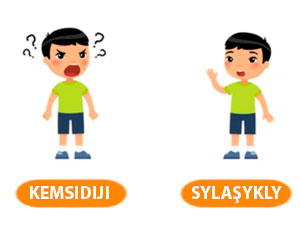 ynsanperwer terminler