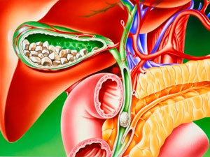 ot haltada dasyn onuni almasy