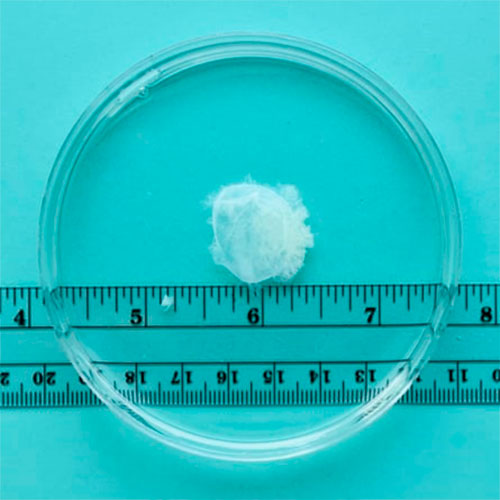 7 hepdelik gowrelilik