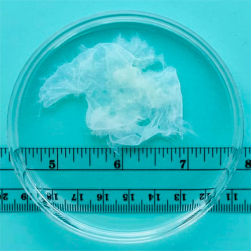 8 hepdelik gowrelilik