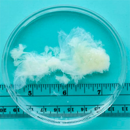 9 hepdelik gowrelilik