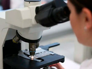 howply patogen komelekleri