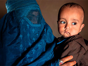 talibanyn elhenc tasiri