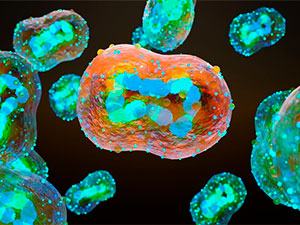 waksina yokusmany azaltdy