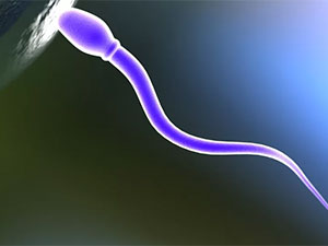 erkekler kontraseptiwi