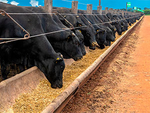 antimikrob durnuklylygynyn iki tarapy