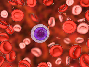 ganazlyga garsy goresmek