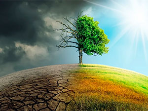 jemgyyet saglygynda 10 mesele