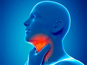 oral jynsy we bokurdak ragy