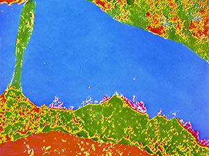 covid simptomlary yuze cykmady