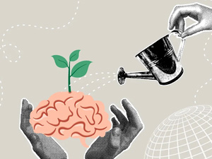 garrylykda beyni